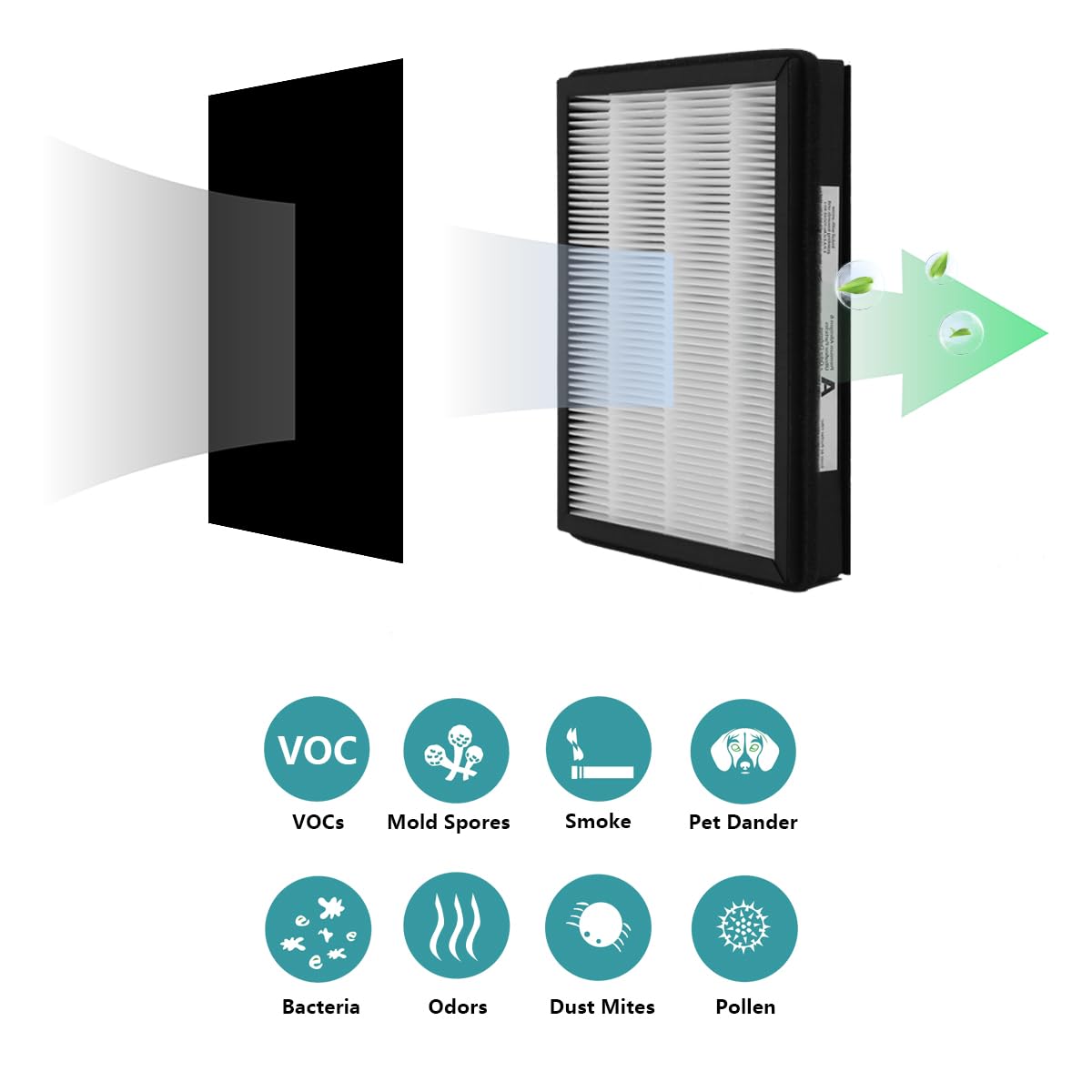 LHARI filtre inséré dans purificateur démontrant installation facile