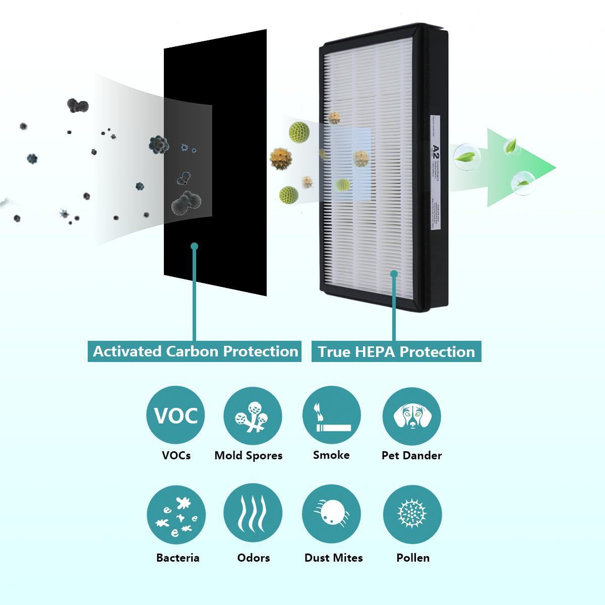 LHARI filtre inséré dans purificateur Filtrete, installation rapide