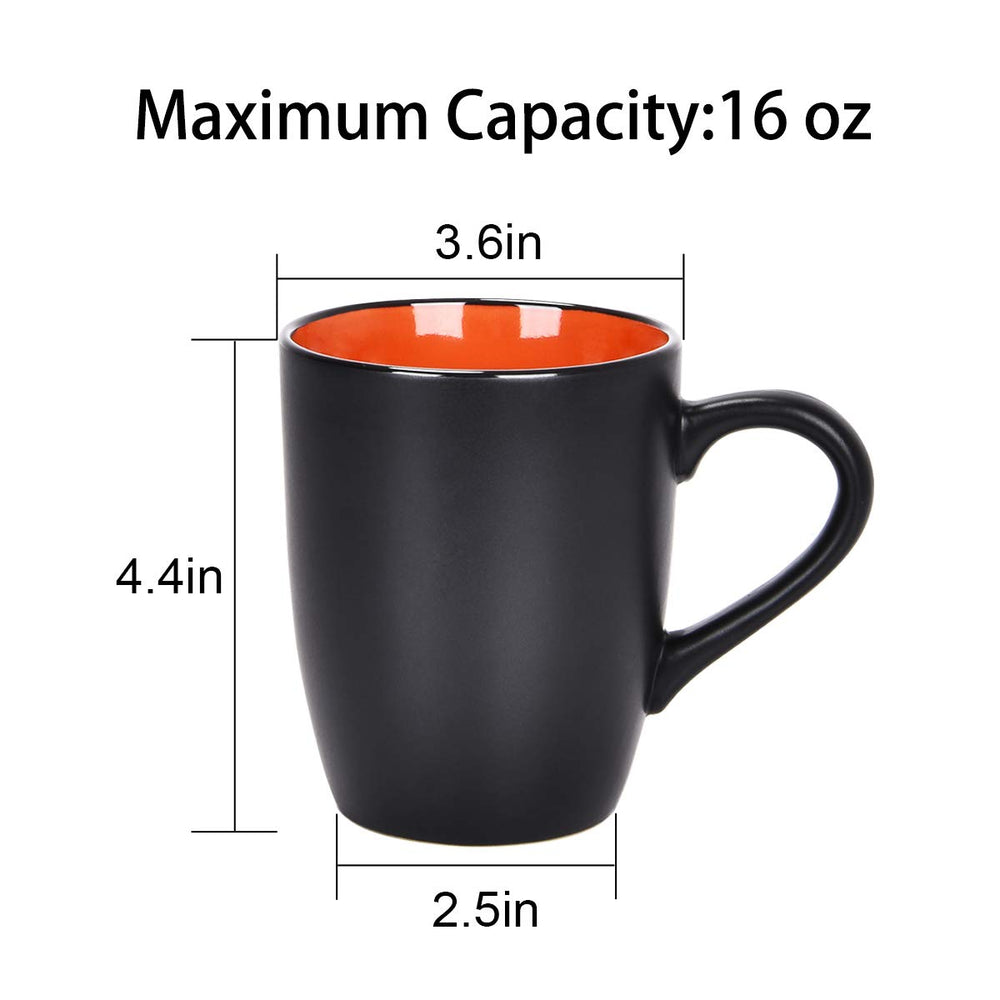 Lifecapido comparaison main illustrant taille réelle et ergonomie pratique