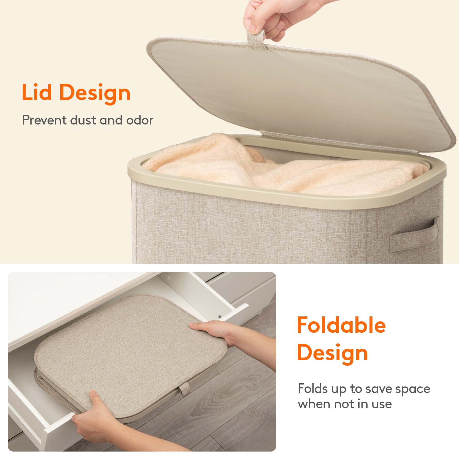 Lifewit comparaison de taille avec objets quotidiens, idée d'échelle