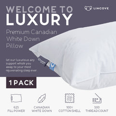 Lincove zoom tissu sateen 500 TC douceur et respirabilité améliorées