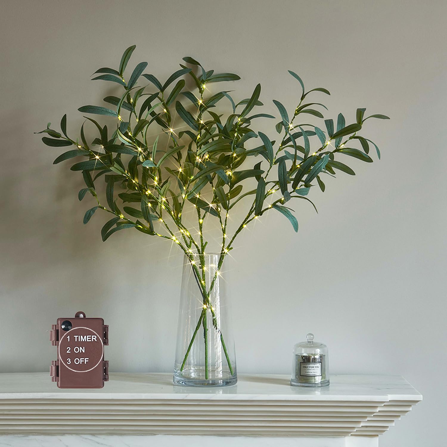 LITBLOOM branche devant emballage montrant design et fini élégant