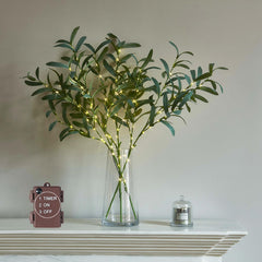 LITBLOOM branche devant emballage montrant design et fini élégant