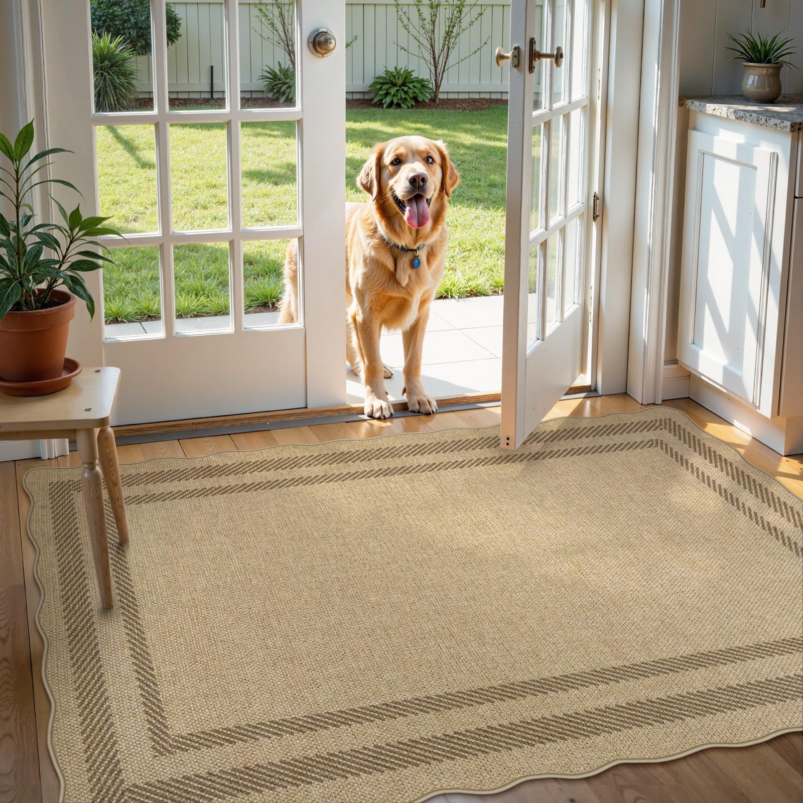LIVEBOX tapis plié dans son emballage et conseils pour déplier sans plis