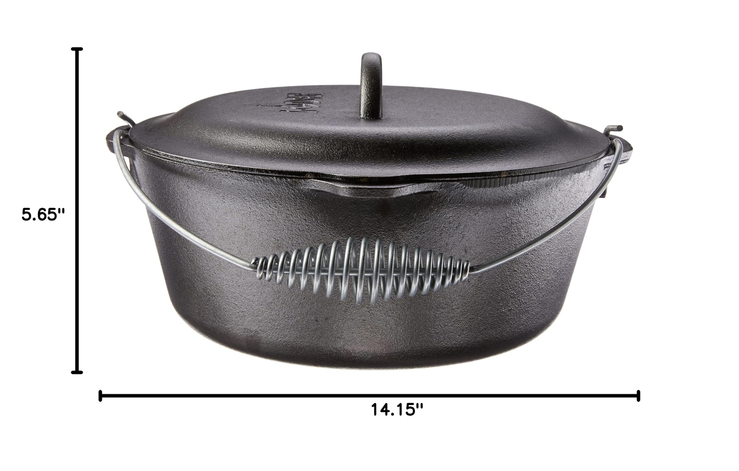 Lodge cocotte à côté de fruits pour échelle, capacité familiale claire