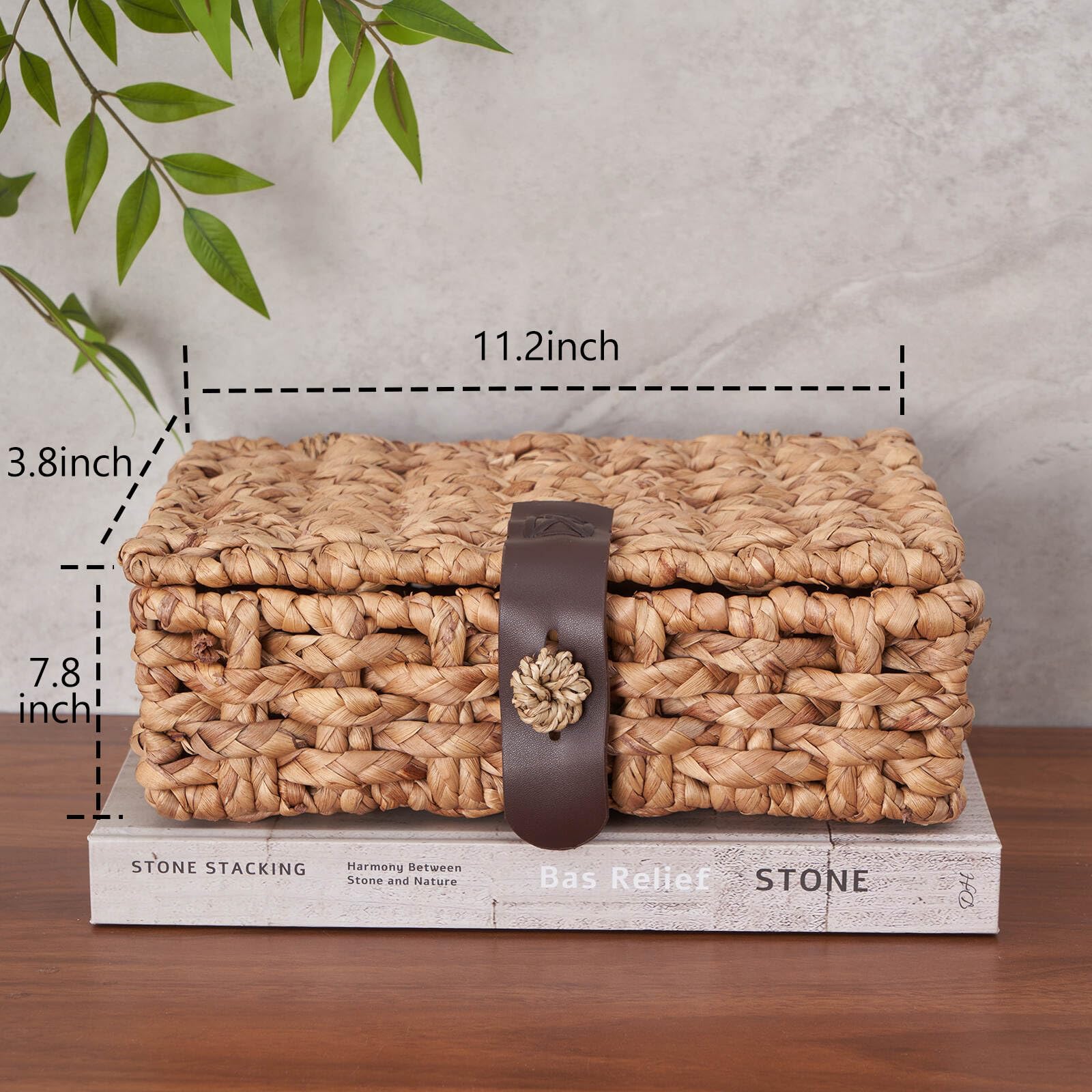 LOHONER mise en scène sur table basse apportant chaleur et style à la décoration