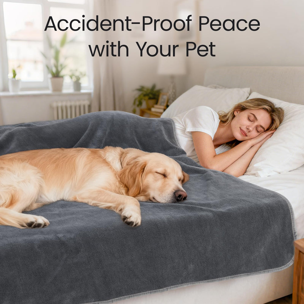 LOOBANI couverture utilisée par un chien montrant confort et propreté
