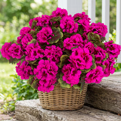 lovemoon face florale ensemble montrant réalisme et couleur