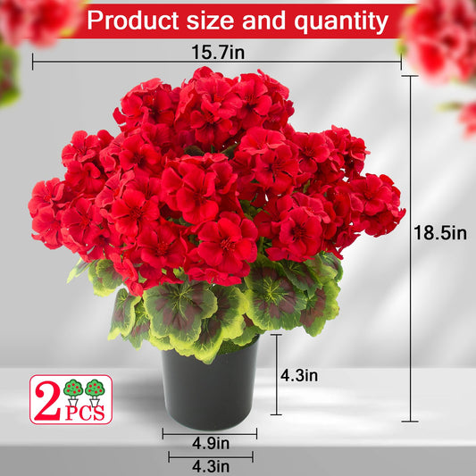lovemoon géranium gros plan fleurs rouges, rendu réaliste et coloré