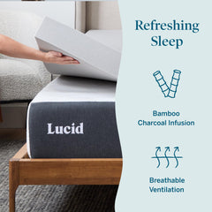 Lucid gros plan mousse montrant texture et conformation bénéfique