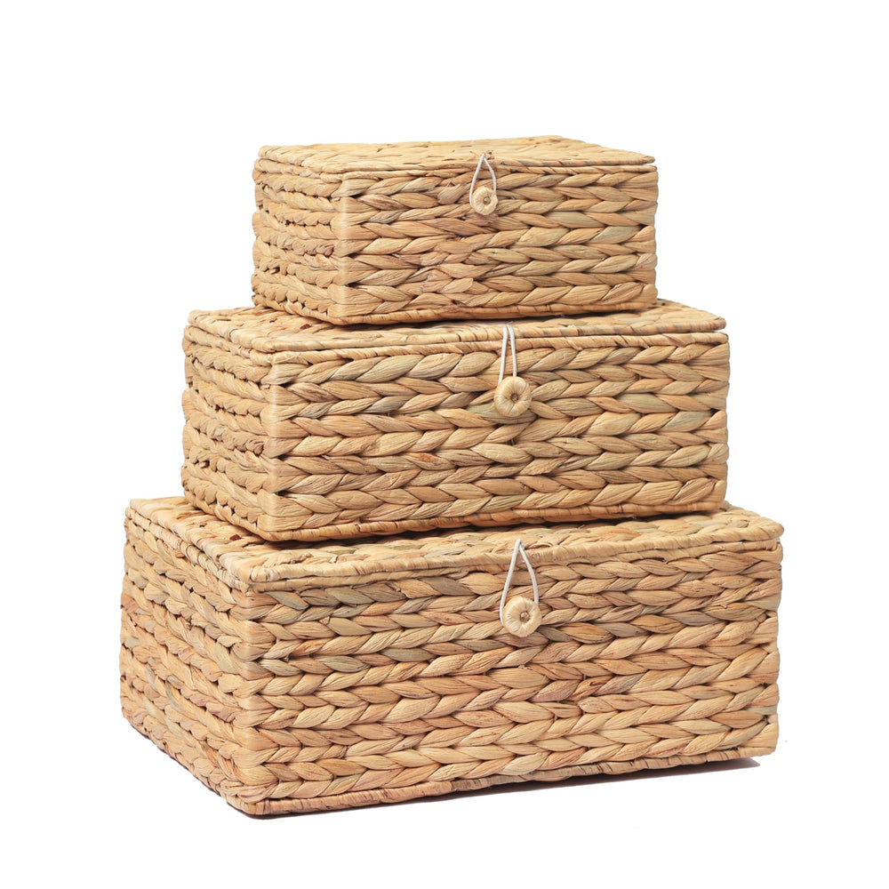 LUSYDECO lot de 3 paniers vue face utile pour organisation