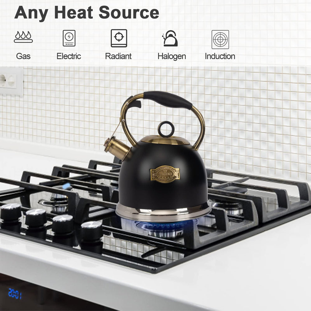 LUXGRACE gros plan inox montrant finition résistante et distribution chaleur
