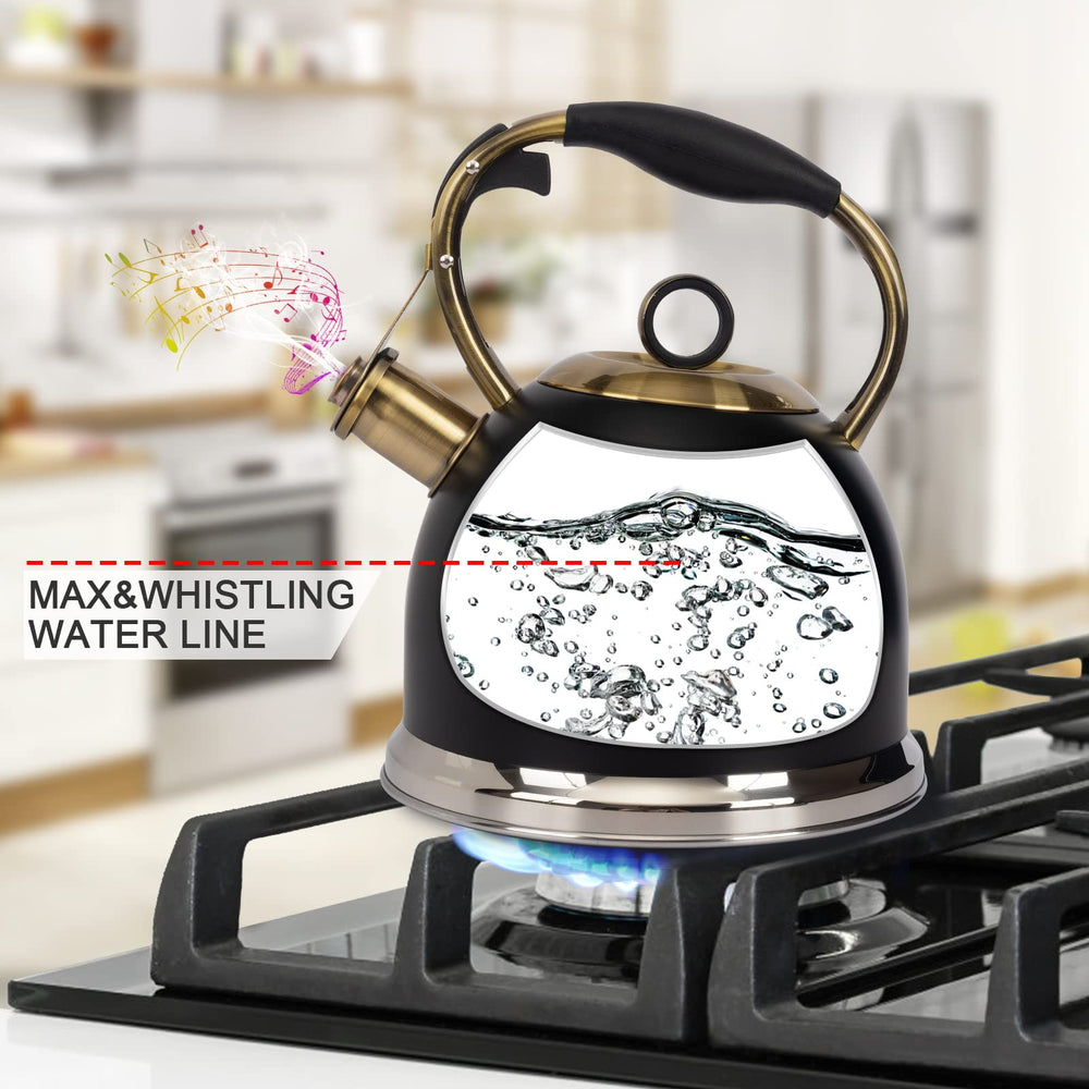 LUXGRACE bouilloire sur plaque induction montrant compatibilité pratique
