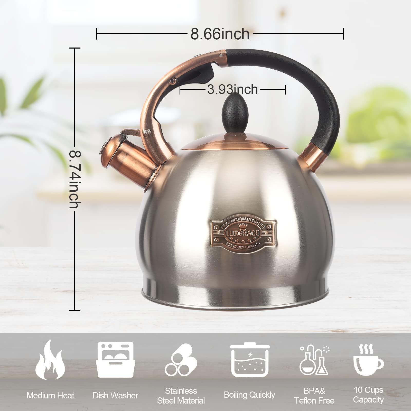 LUXGRACE comparaison d'échelle montrant capacité 3 Quart et proportion