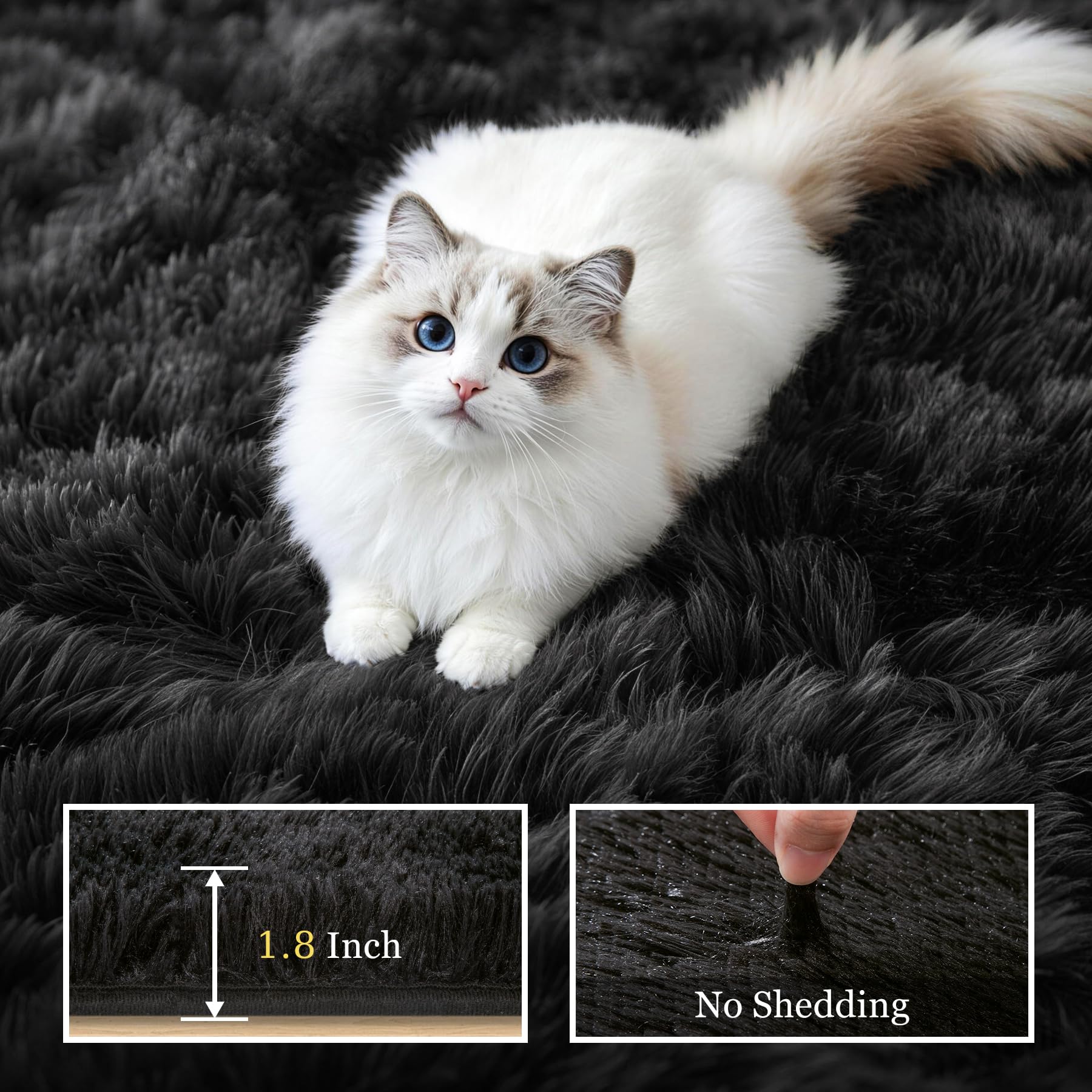 Luxturiy tapis installé dans un salon apportant chaleur visuelle