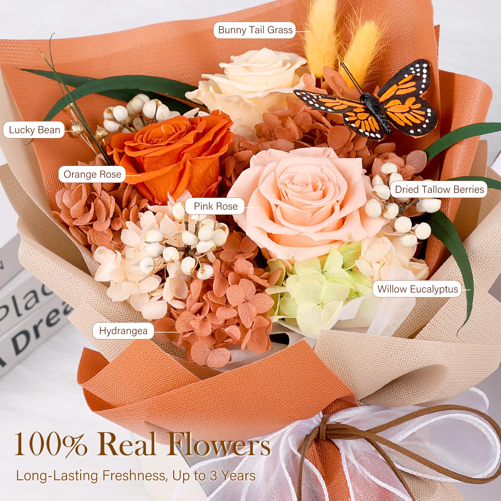 Gros plan roses MAMAMIKO montrant texture et couleurs durables