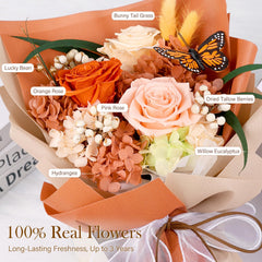 Gros plan roses MAMAMIKO montrant texture et couleurs durables
