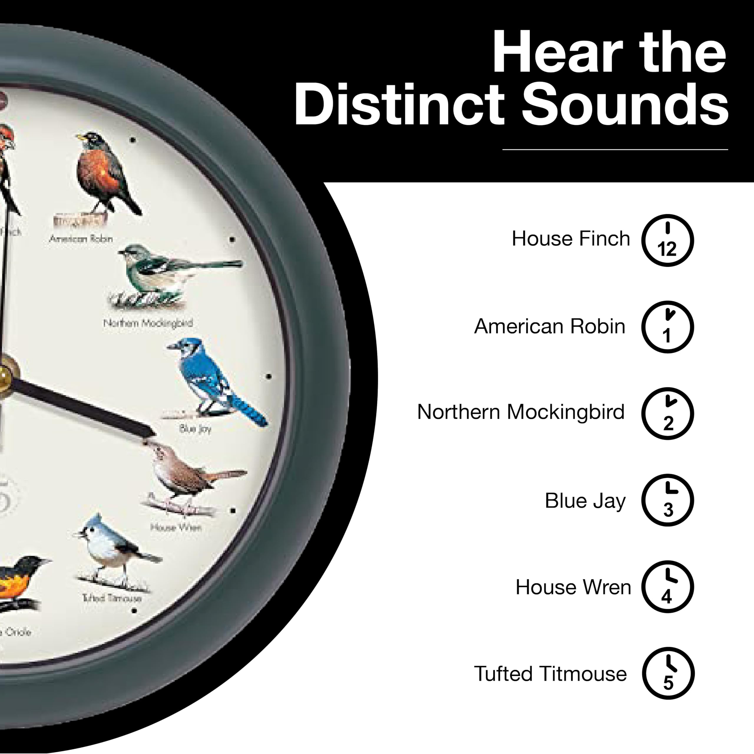 Mark Feldstein & Associates guide de terrain inclus, identifie douze chants d'oiseaux
