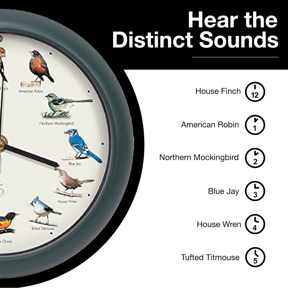 Mark Feldstein & Associates guide de terrain inclus, identifie douze chants d'oiseaux