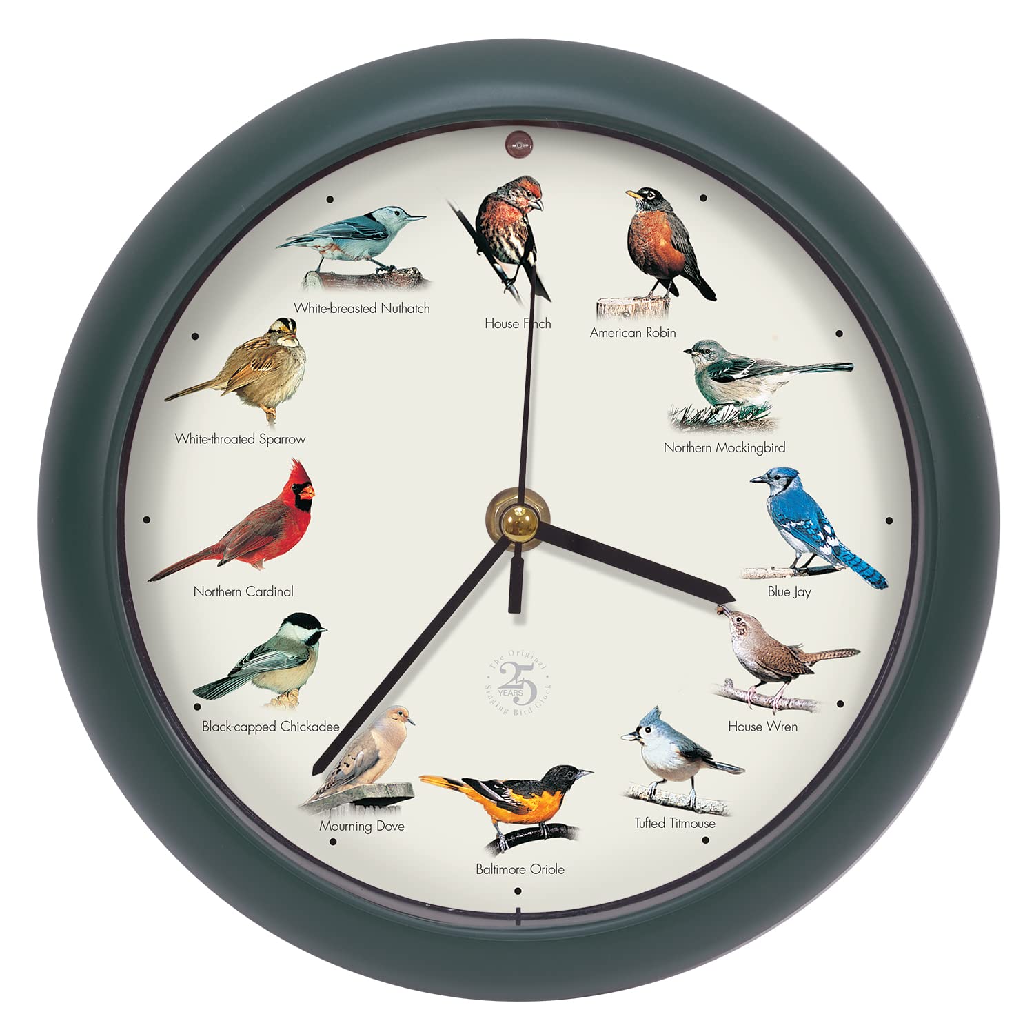 Mark Feldstein & Associates horloge face 8 pouces verte, style décoratif et compact