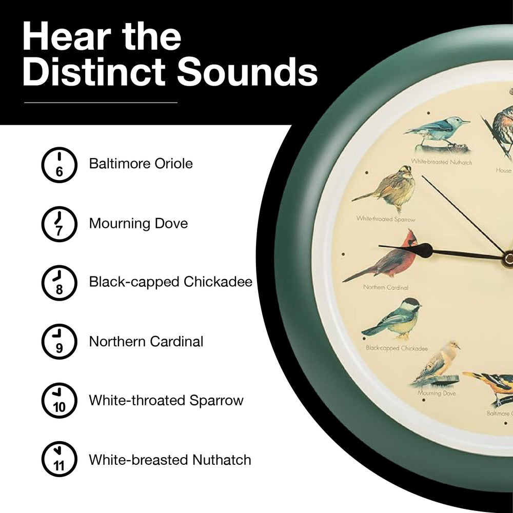 Mark Feldstein horloge accrochée en cuisine apportant ambiance naturelle et décoration