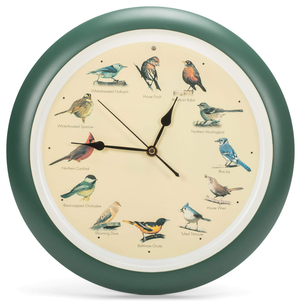 Mark Feldstein horloge face cadran montrant 12 portraits d’oiseaux pour identification