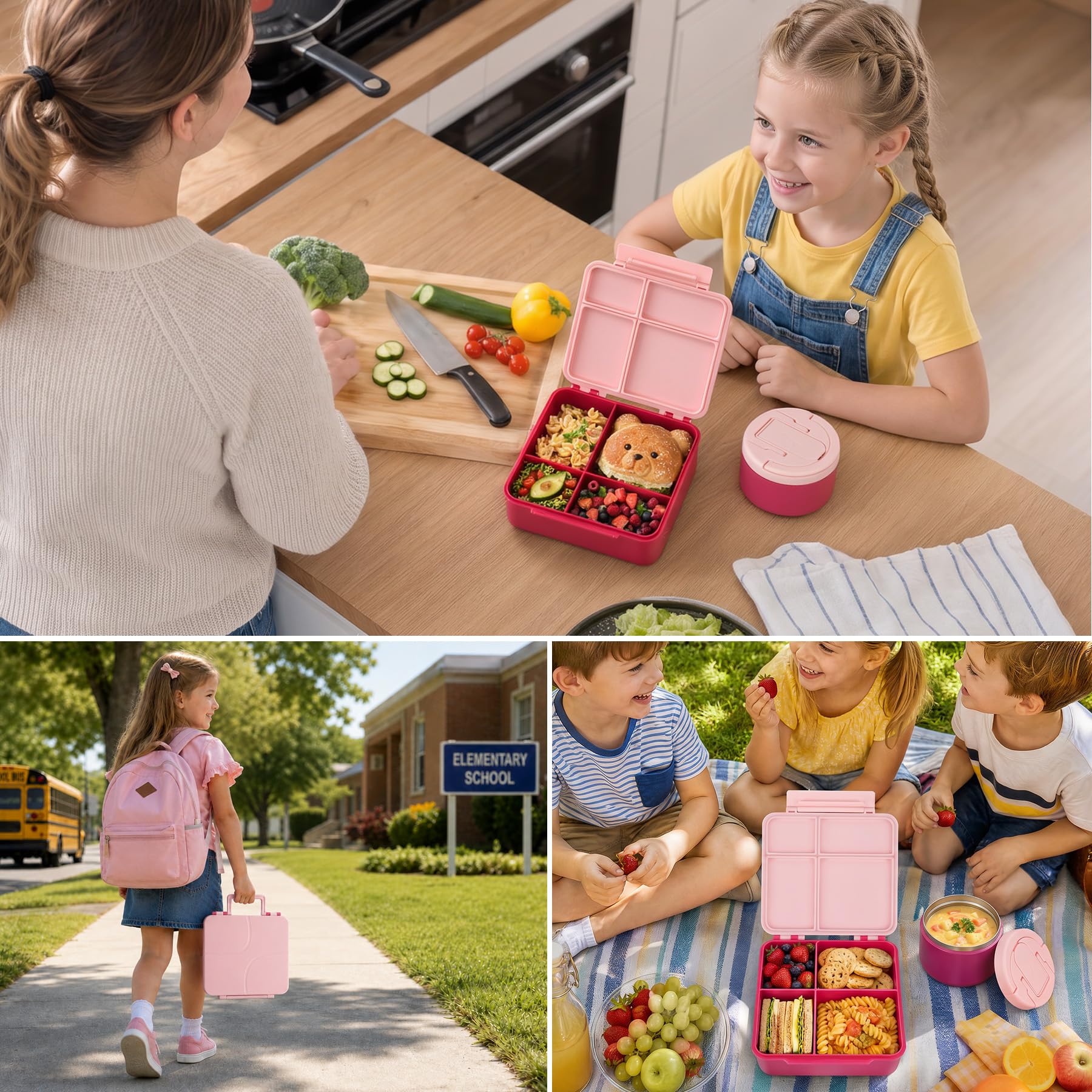 MAXSO boîte bento en contexte pique-nique pratique et durable