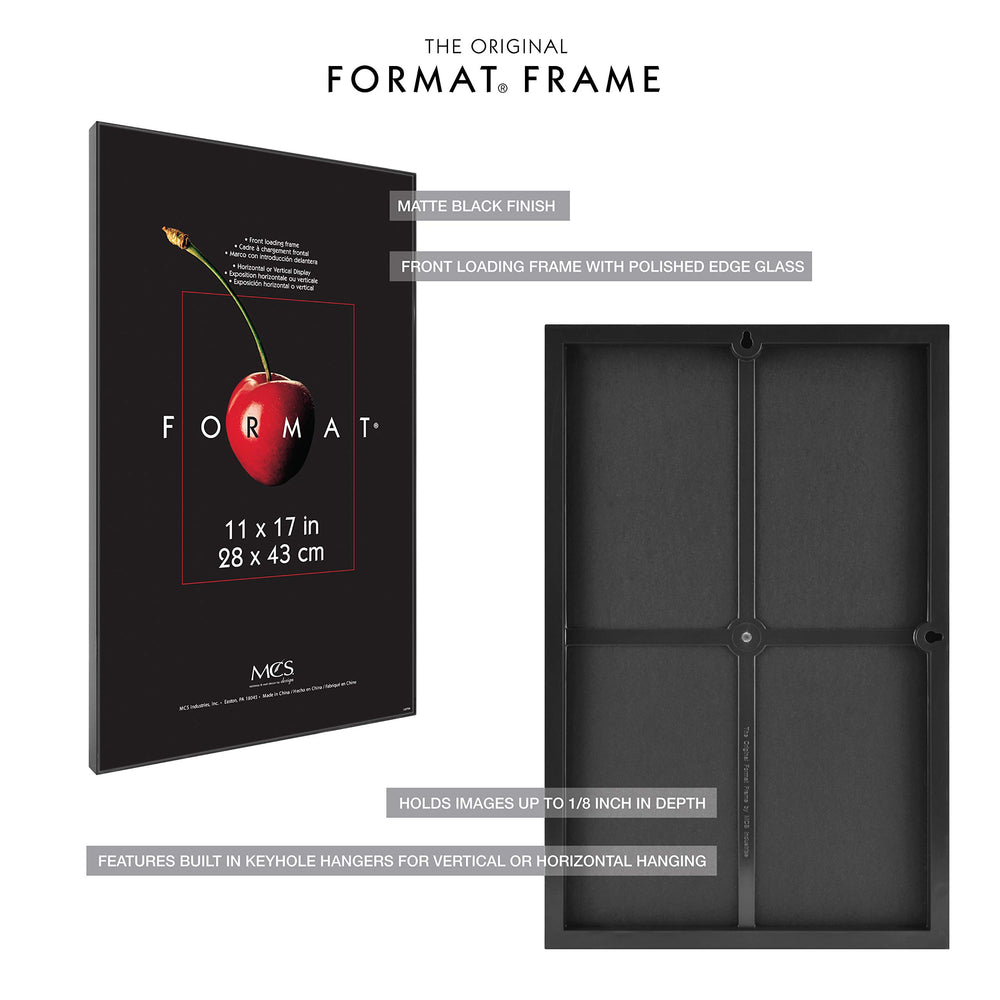 MCS comparaison d'échelle montrant le format 11x17 pour visualiser taille