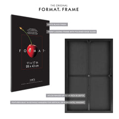 MCS comparaison d'échelle montrant le format 11x17 pour visualiser taille