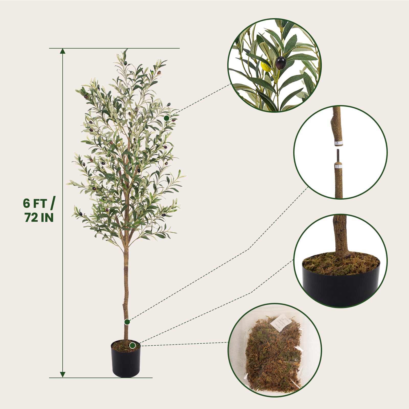 MCTYBB gros plan sur feuillage réaliste, apporte texture naturelle