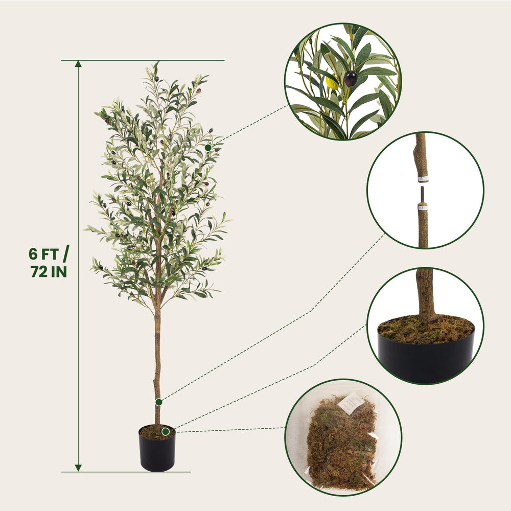 MCTYBB gros plan sur feuillage réaliste, apporte texture naturelle