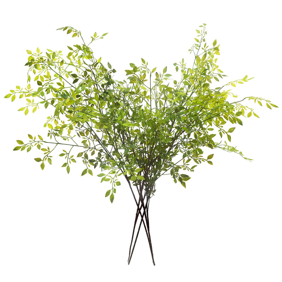 Melorca&Guilla branches nandina vue avant offrant une présence décorative instantanée