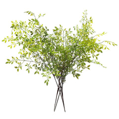 Melorca&Guilla branches nandina vue avant offrant une présence décorative instantanée