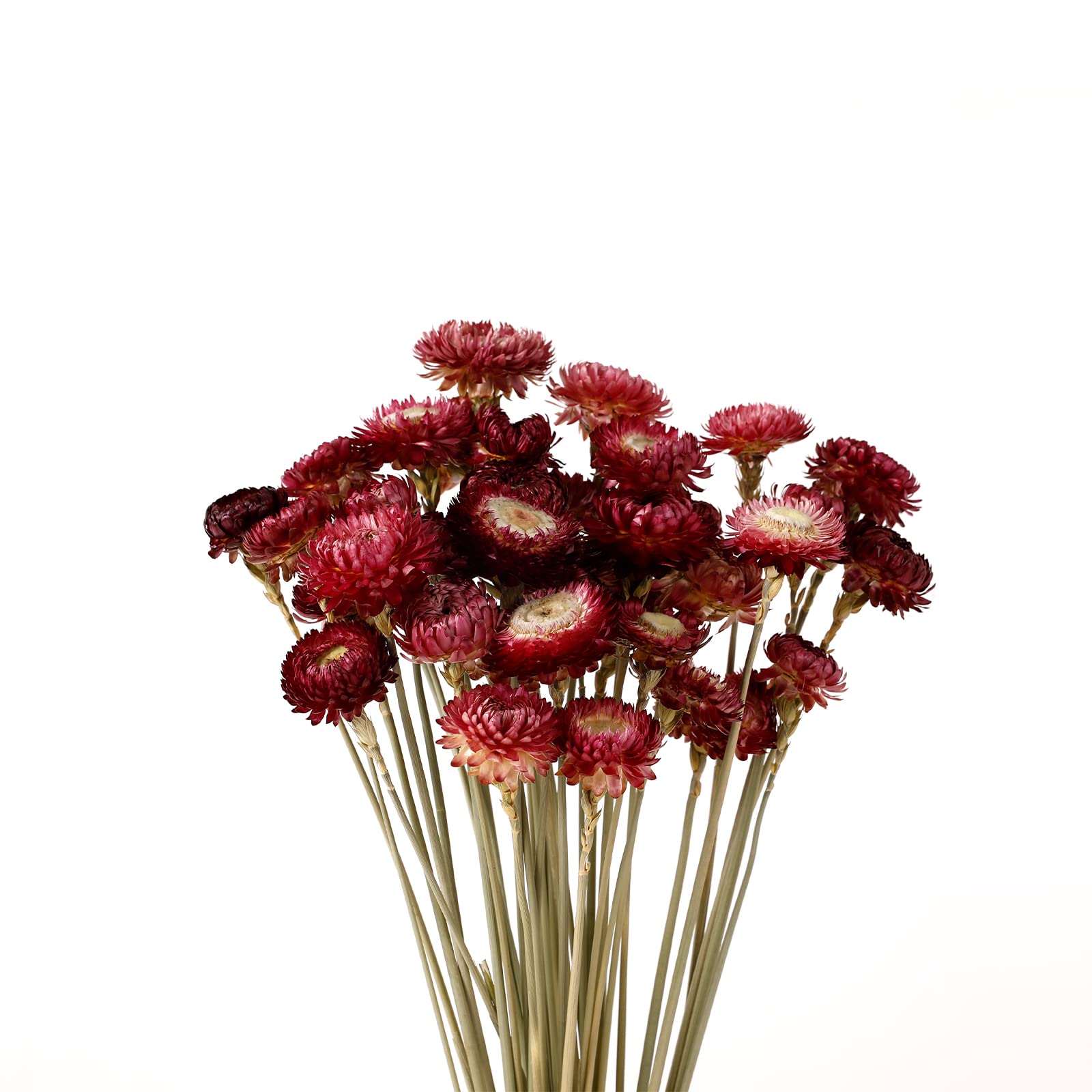 MIHUAGE bouquet dans un vase bordeaux apporte élégance durable