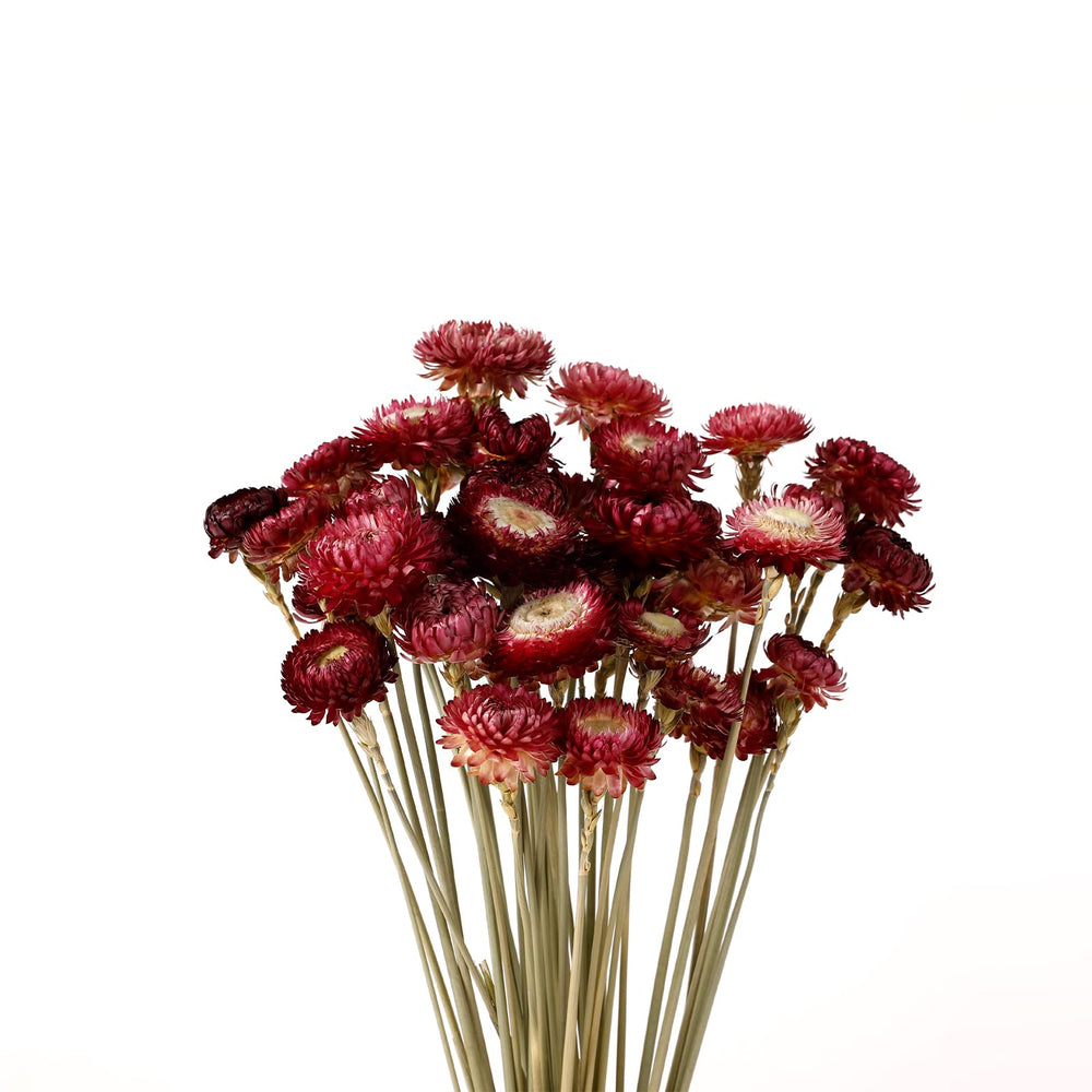 MIHUAGE bouquet dans un vase bordeaux apporte élégance durable