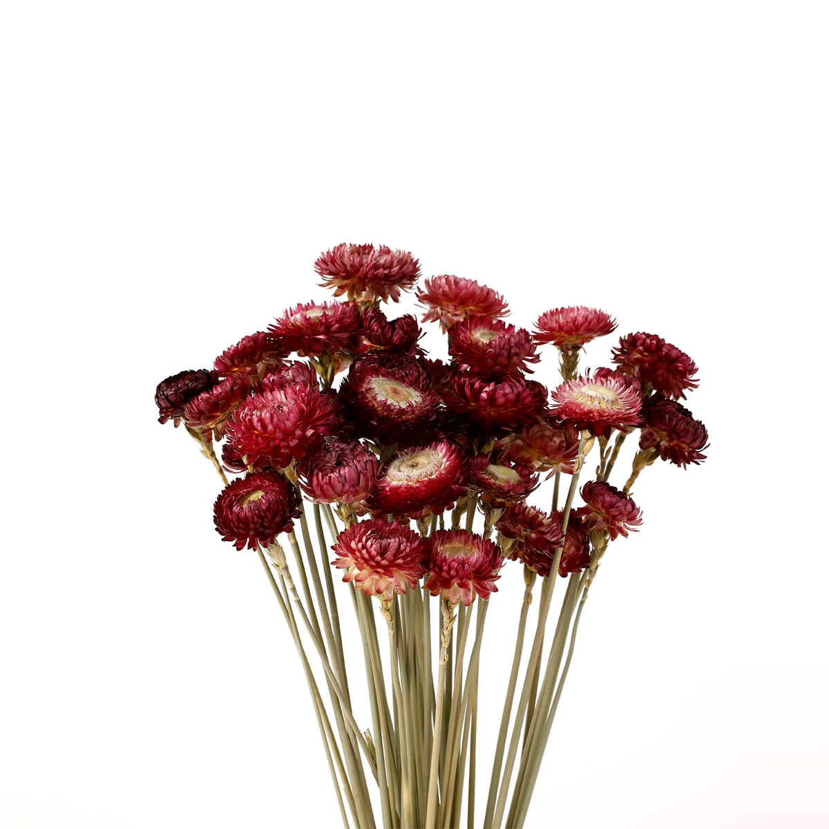 MIHUAGE bouquet dans un vase bordeaux apporte élégance durable