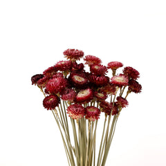 MIHUAGE bouquet dans un vase bordeaux apporte élégance durable