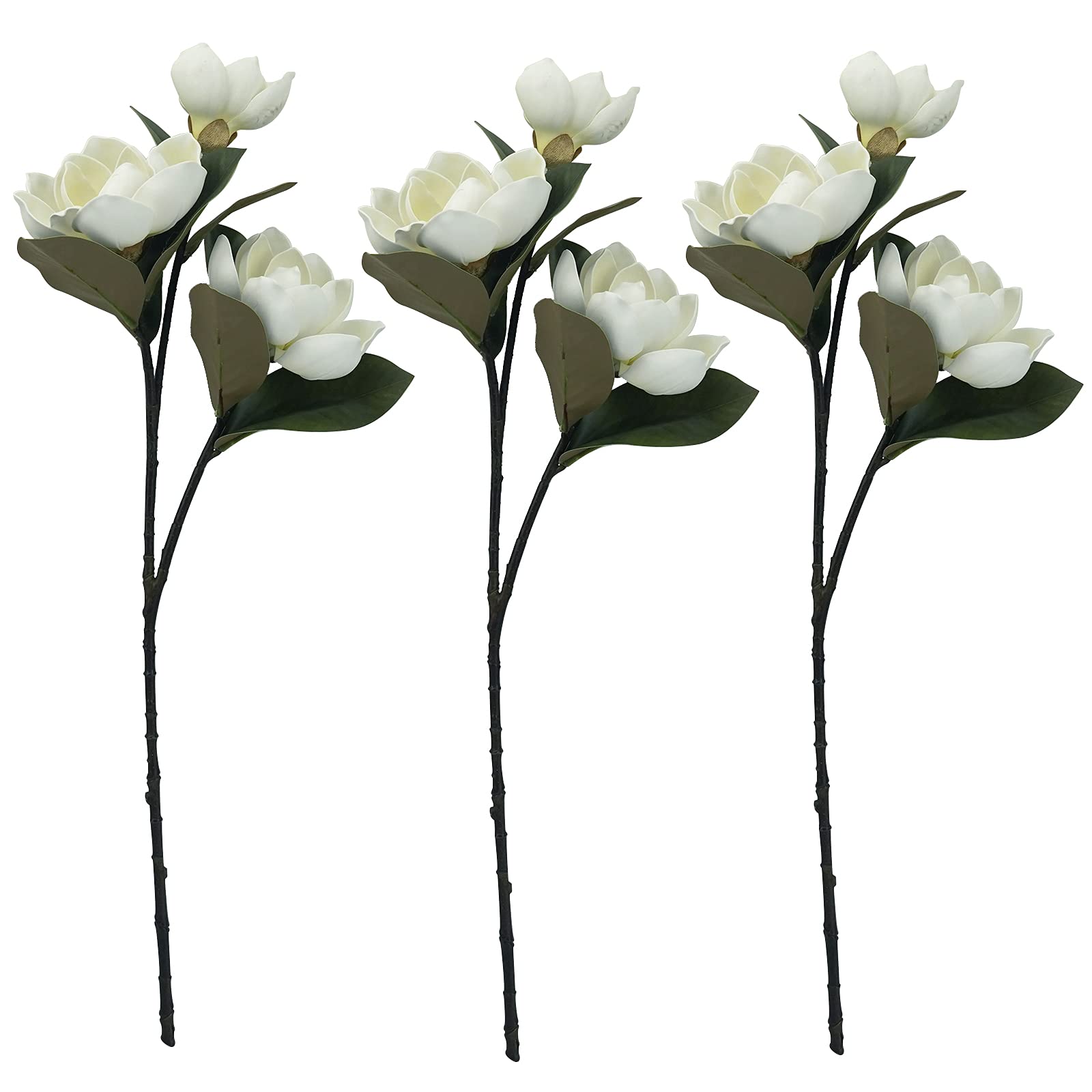 MINYULUA comparatif taille vase échelle et proportions claires