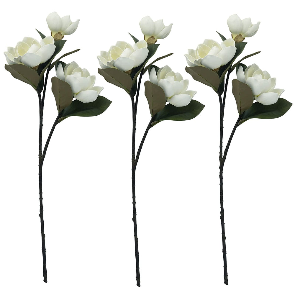 MINYULUA comparatif taille vase échelle et proportions claires