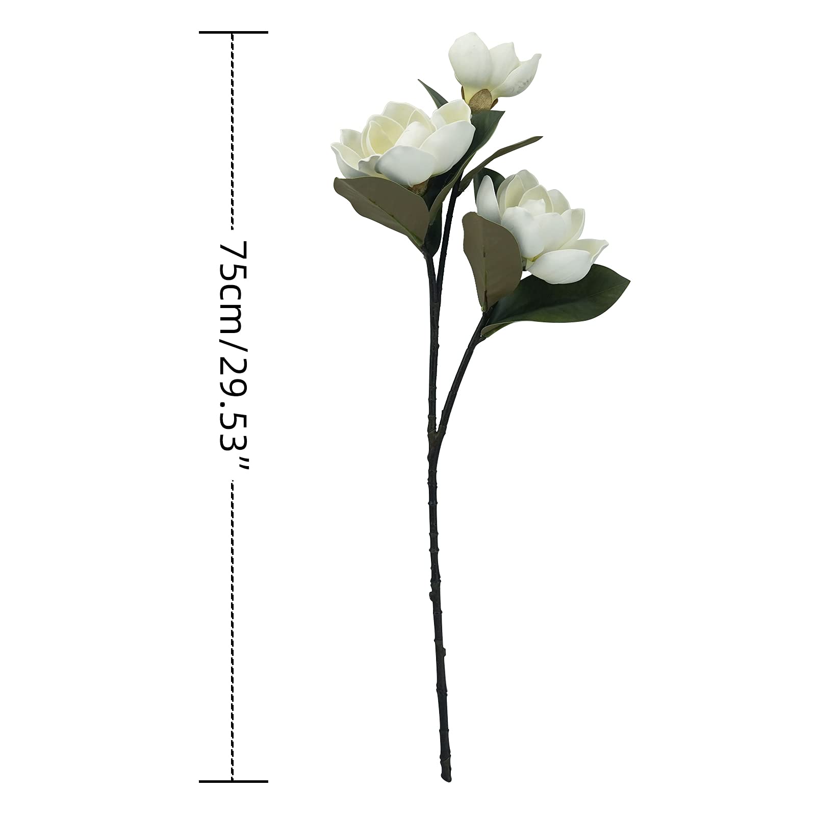 MINYULUA zoom mousse fleur texture réaliste et toucher doux