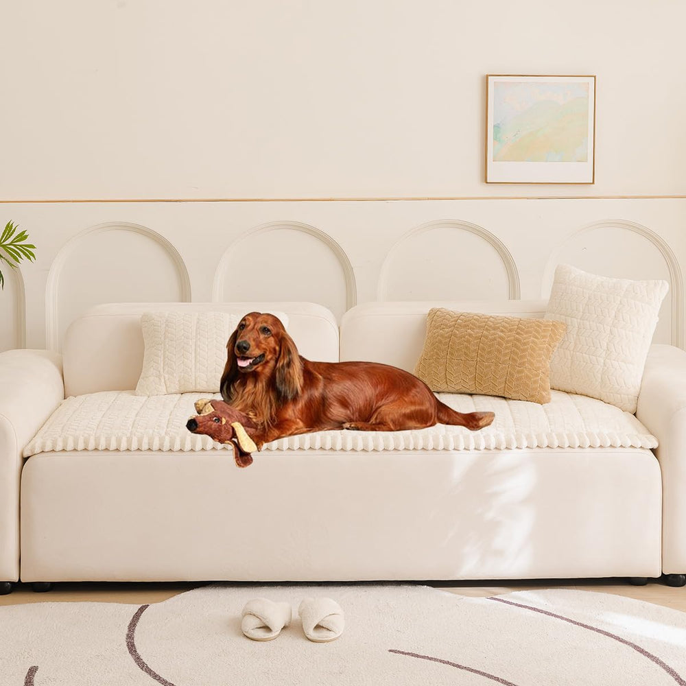 Mitid housse face avant montrant protection complète et look soigné
