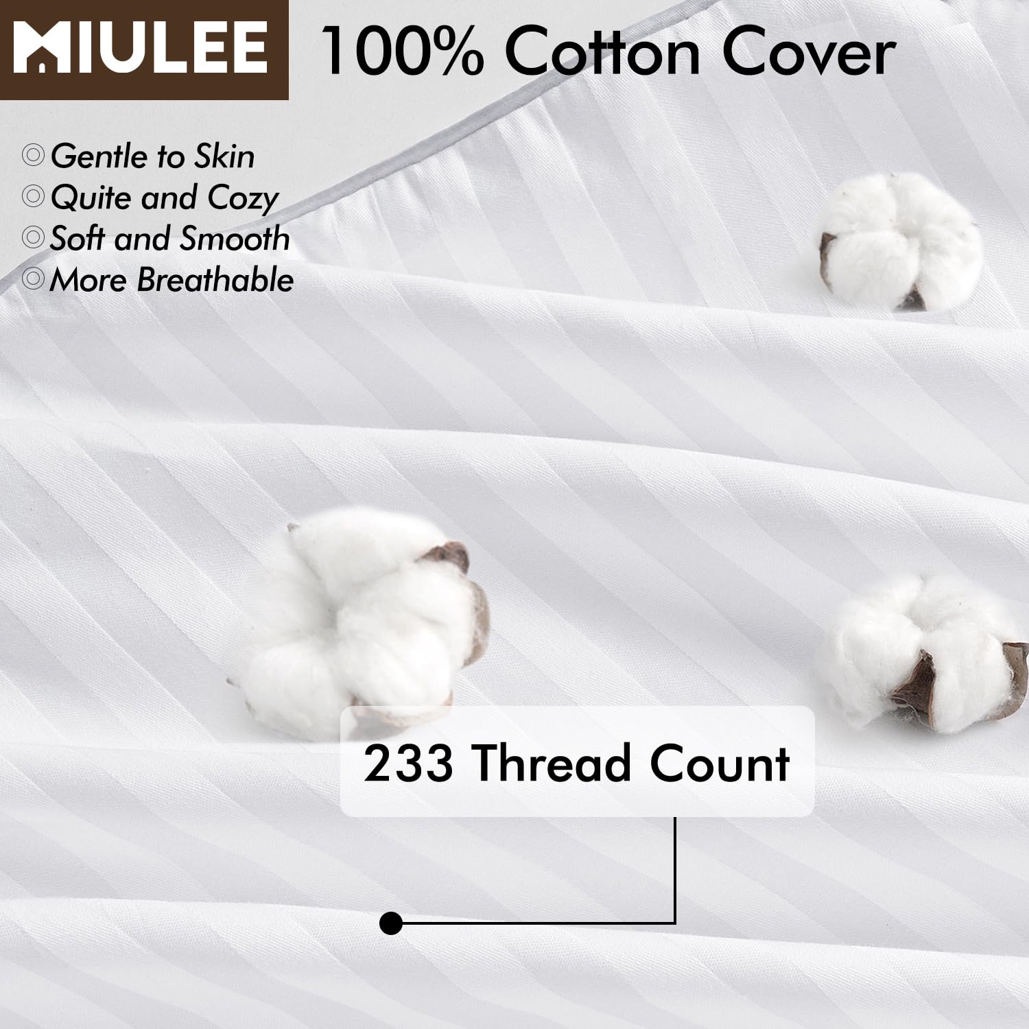MIULEE coussin comparé à règle montre dimensions exactes