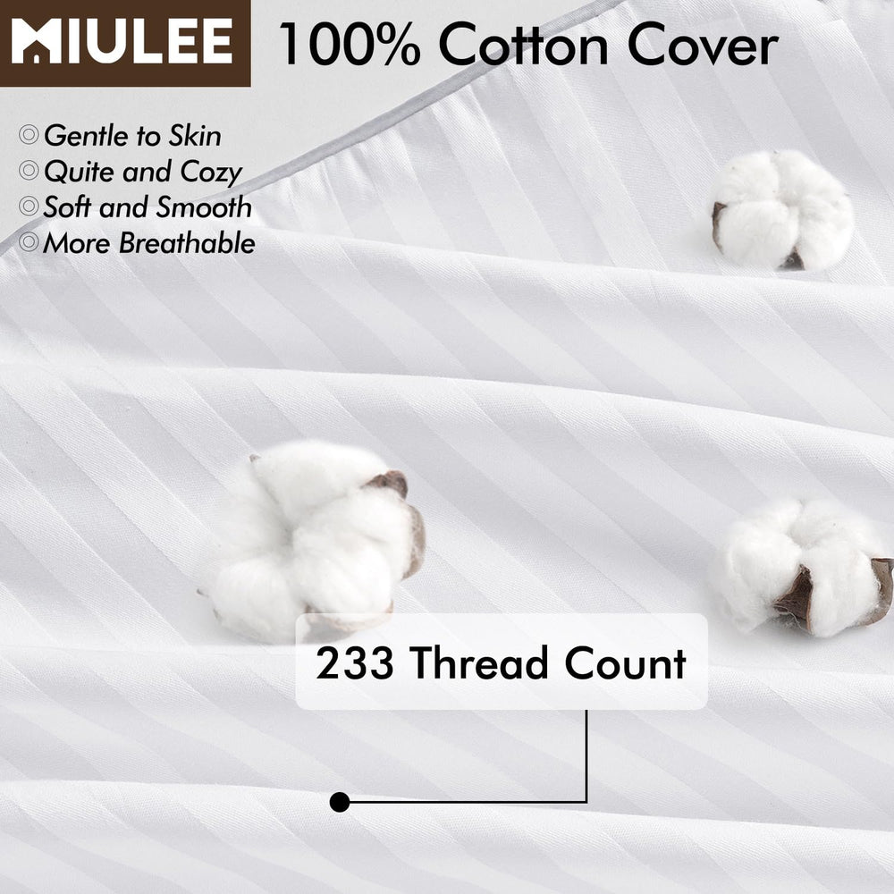 MIULEE coussin comparé à règle montre dimensions exactes