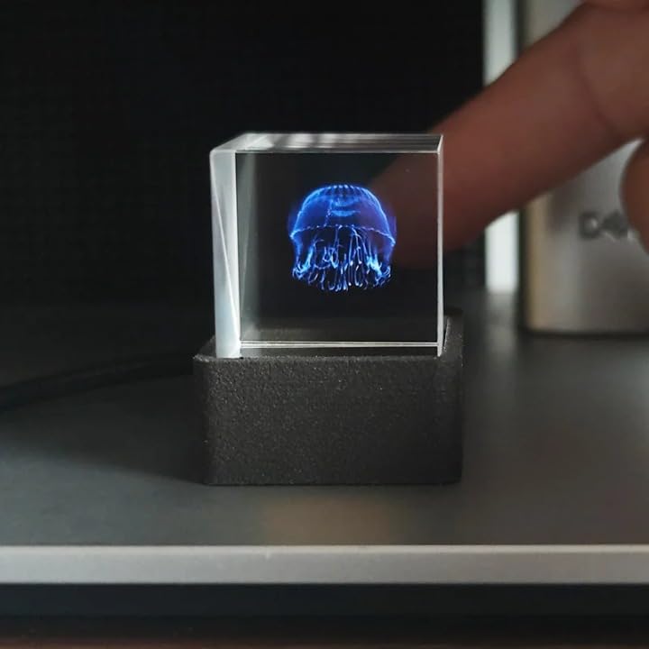 MLWSHR HolaCube vue de face sur socle noir, design élégant pour déco