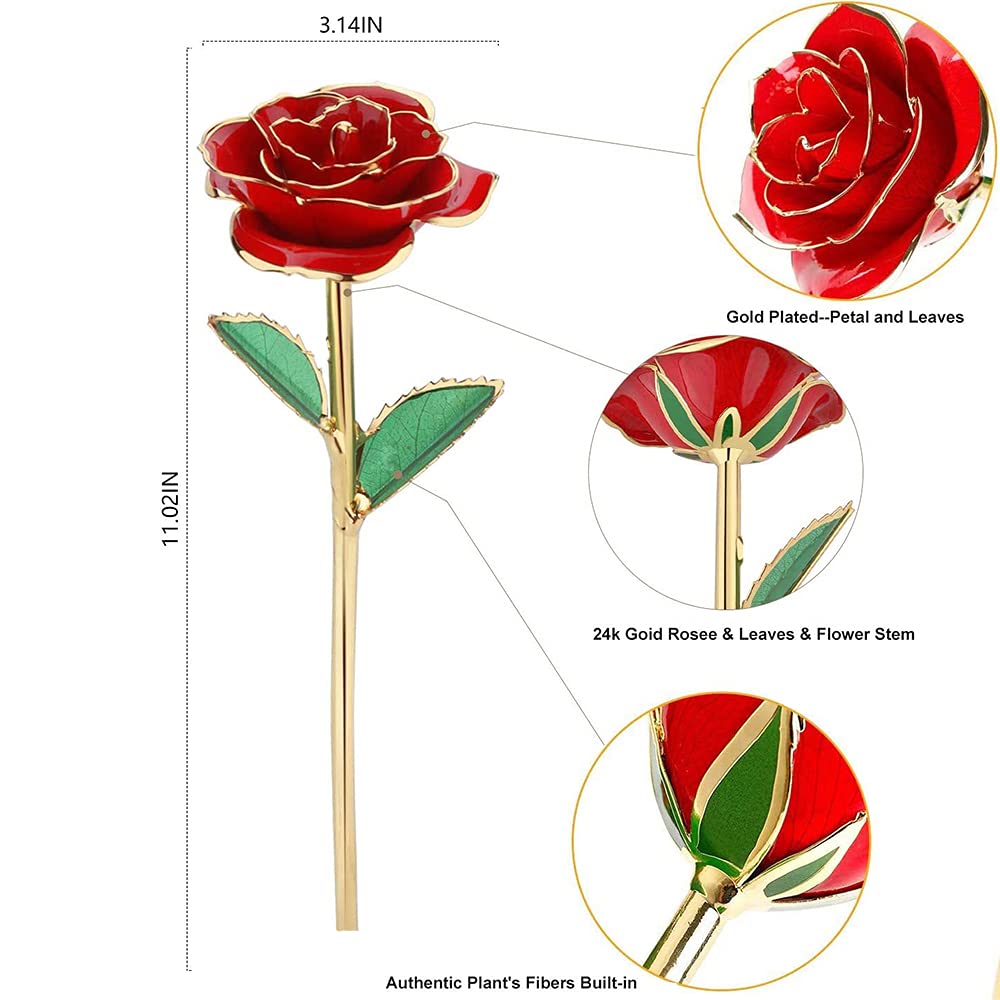 MNIEYU rose posée sur socle transparent pour exposition stable