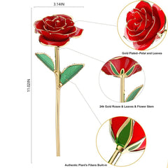 MNIEYU rose posée sur socle transparent pour exposition stable