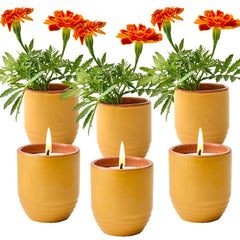 Modern Sprout bougie-pot face montrant design céramique et aspect réutilisable