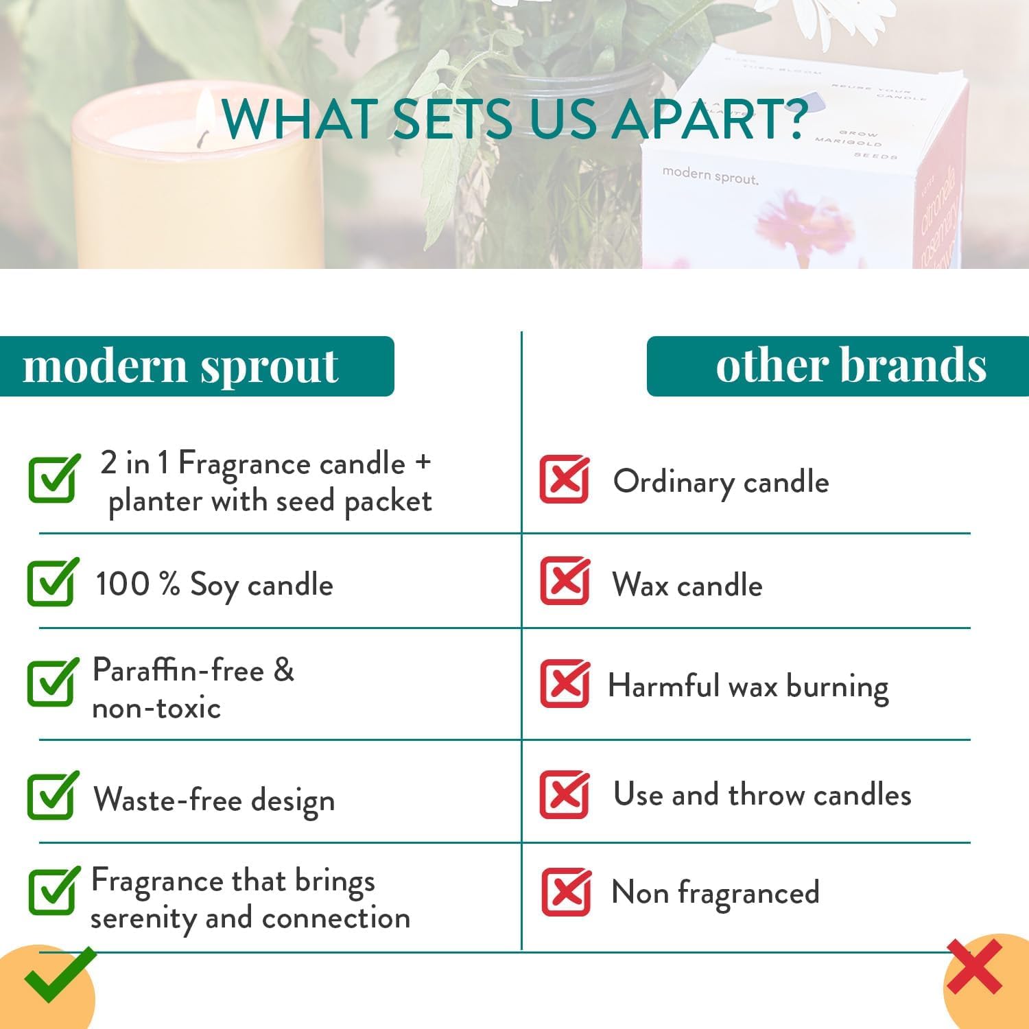 Modern Sprout comparaison taille montrant 6 oz et échelle pour référence pratique
