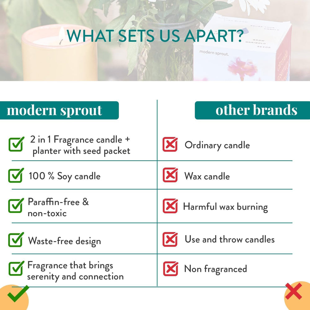 Modern Sprout comparaison taille montrant 6 oz et échelle pour référence pratique