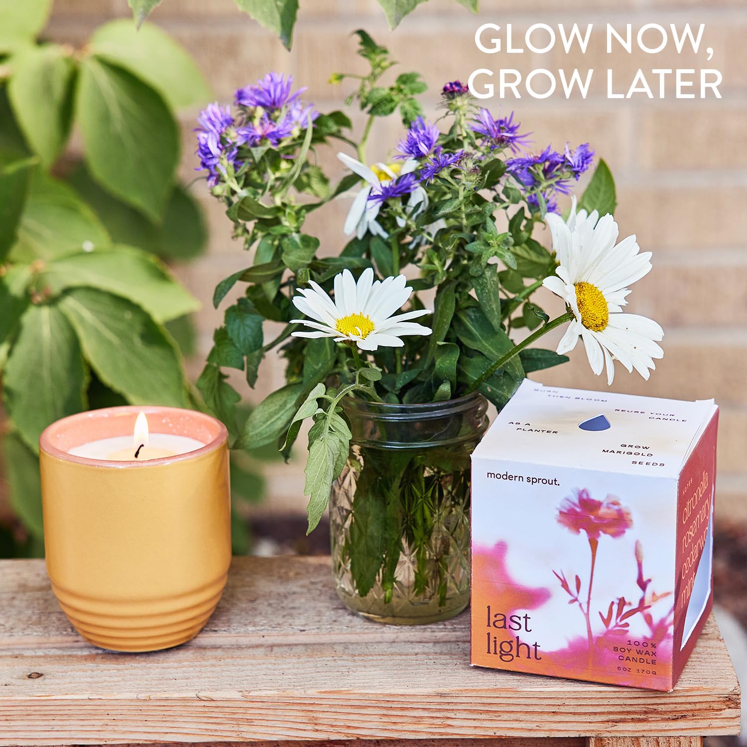 Modern Sprout mise en scène lifestyle sur table de jardin évoquant convivialité